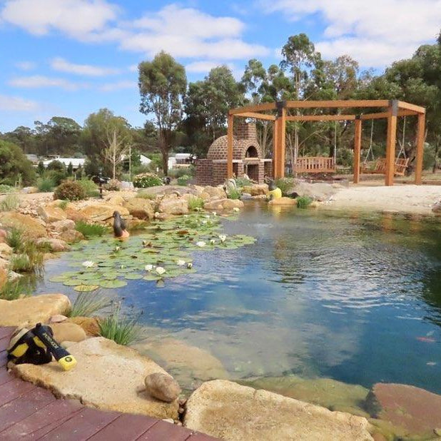 How To Build A Perfect Water Garden - Aquascape Australia
