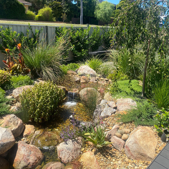 Pond Cleaning Tips: Best Treatment for Clear Pond Water - Aquascape Australia