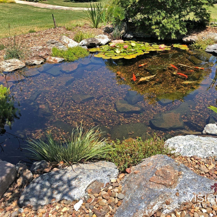 Caring for your pond during the summer - Aquascape Australia