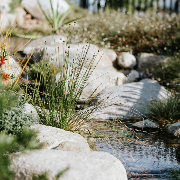 Building Your Own Pond with an Aquascape Pond Kit - Aquascape Australia