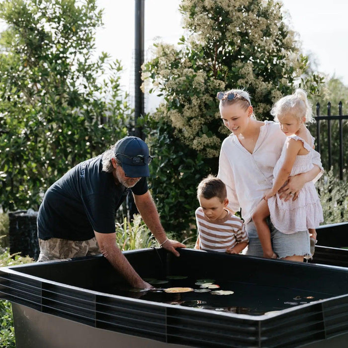 Planting Waterlilies Made Easy: Tips to Get it Right - Aquascape Australia