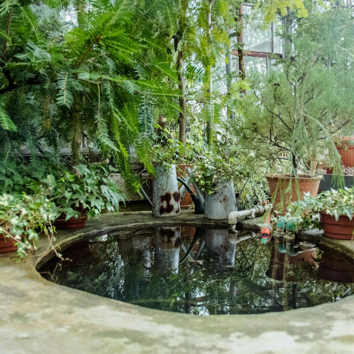 Best Pond Liner: What to Choose and Why EPDM Comes Out on Top