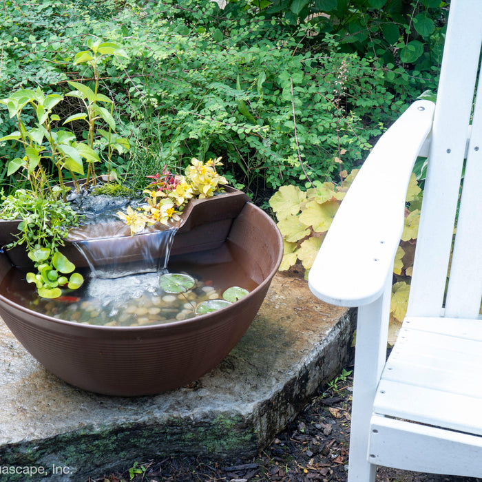 10 Garden Gift Ideas for Pond Lovers this Christmas - Aquascape Australia