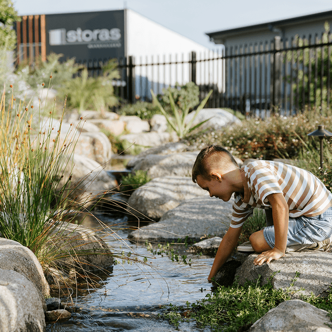 Freshen Up Your Pond for Summer - Aquascape Australia
