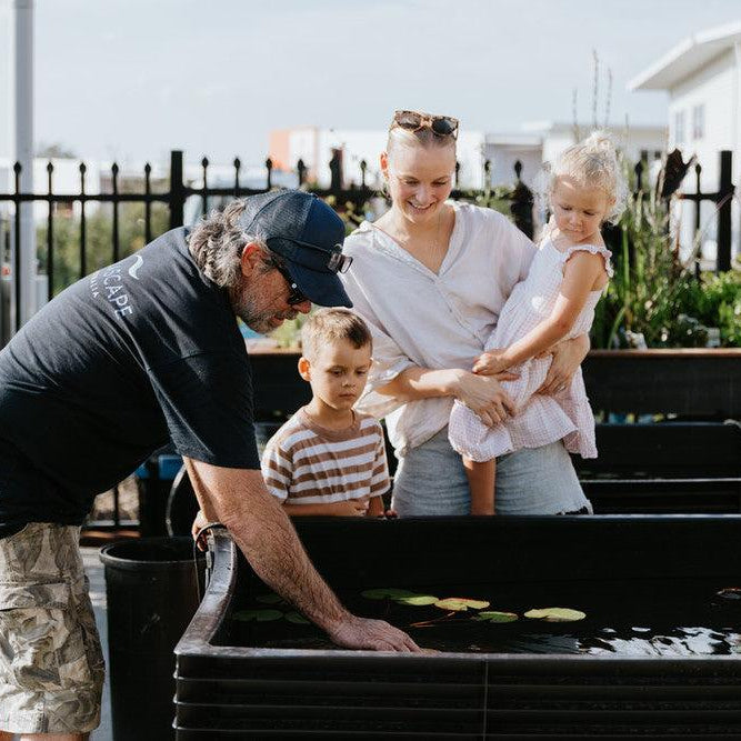 The World of Water Lilies - Aquascape Australia