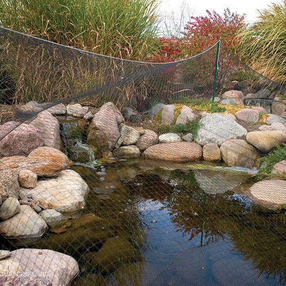How to Prepare Your Pond for Winter in Australia - No Matter Where You Live