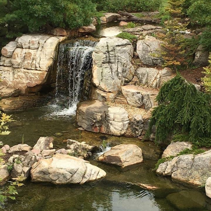 Why Every Pond Needs a Waterfall (And What It Actually Does)