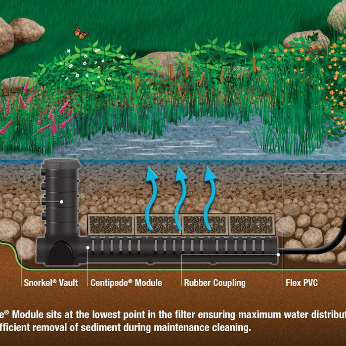 Why Choose an Aquascape Wetland Filter? - Aquascape Australia