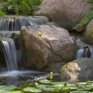Top Ten Pond Feature Ideas - Aquascape Australia