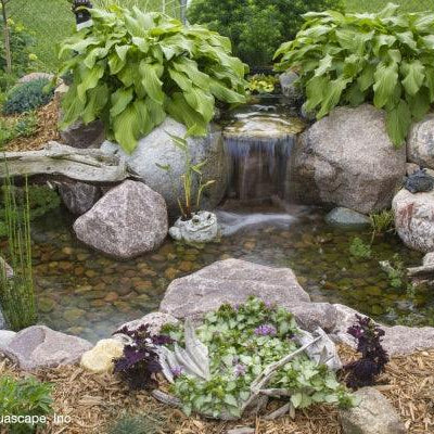 Tips for a Healthy Summertime Pond - Aquascape Australia