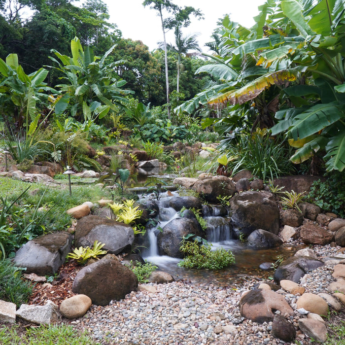 7 Outdoor Water Features for 2022 - Aquascape Australia