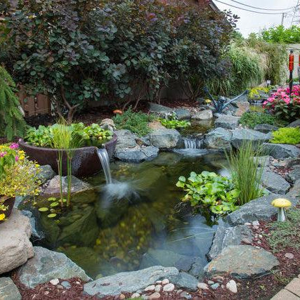Choosing the Best Garden Water Features - Aquascape Australia