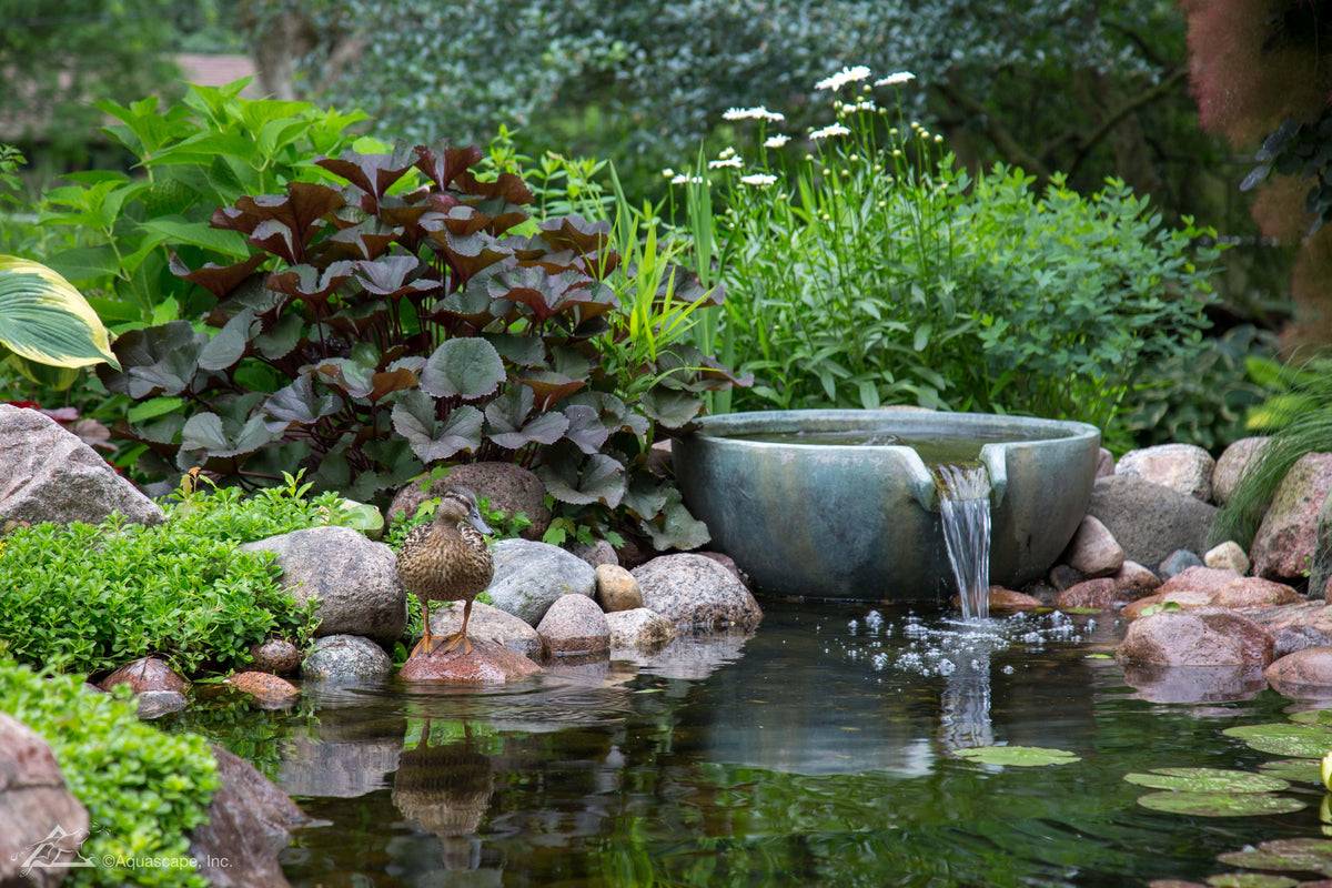 Water Features Examples 5 Benefits of Outdoor Water Features — Aquascape Australia