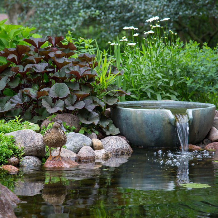 5 Benefits of Outdoor Water Features - Aquascape Australia