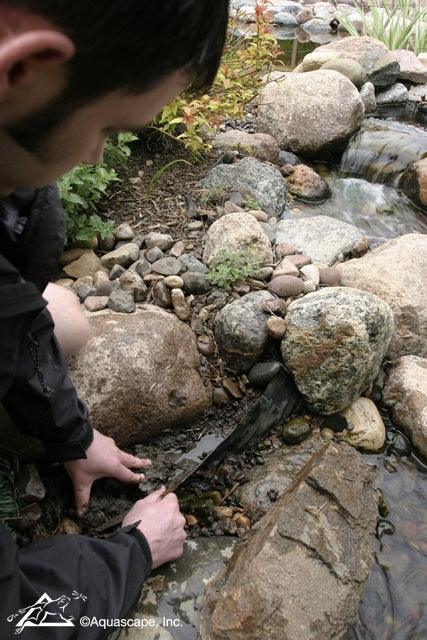 A User-Friendly Guide to Fixing Pond Leaks - Aquascape Australia