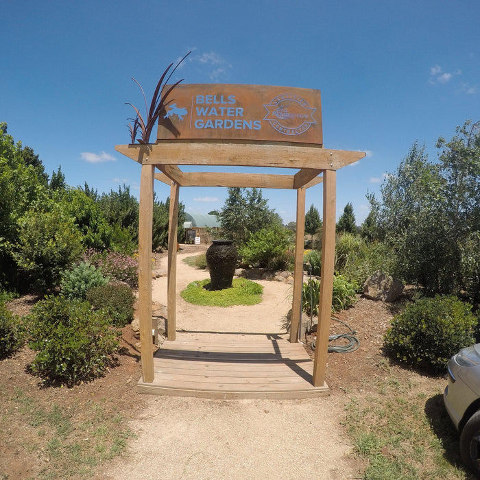 Featured Contractor: Bells Watergardens - Aquascape Australia