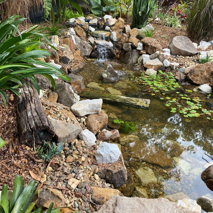 DIY Competition Winner Project Story - Aquascape Australia