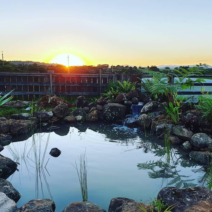 Flo Gardens at The Farm Byron Bay - Aquascape Australia