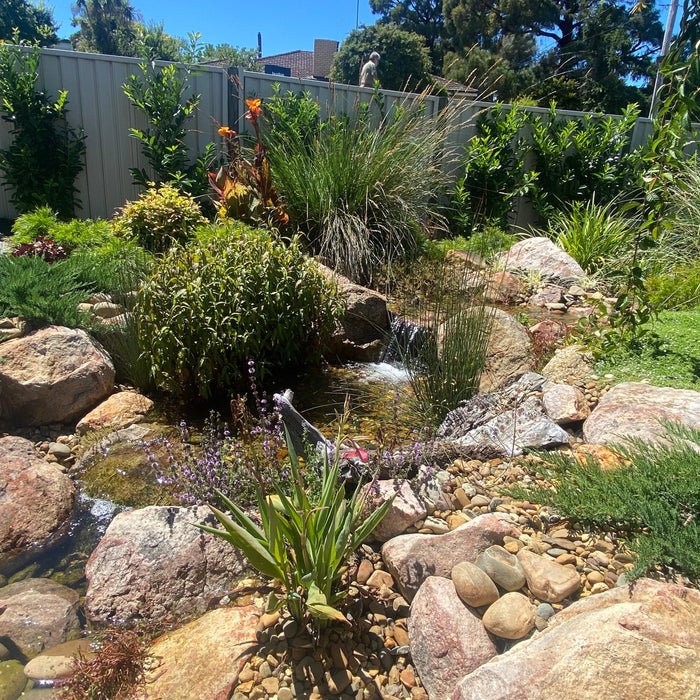 Ideal Filters for Small Water Gardens - Aquascape Australia