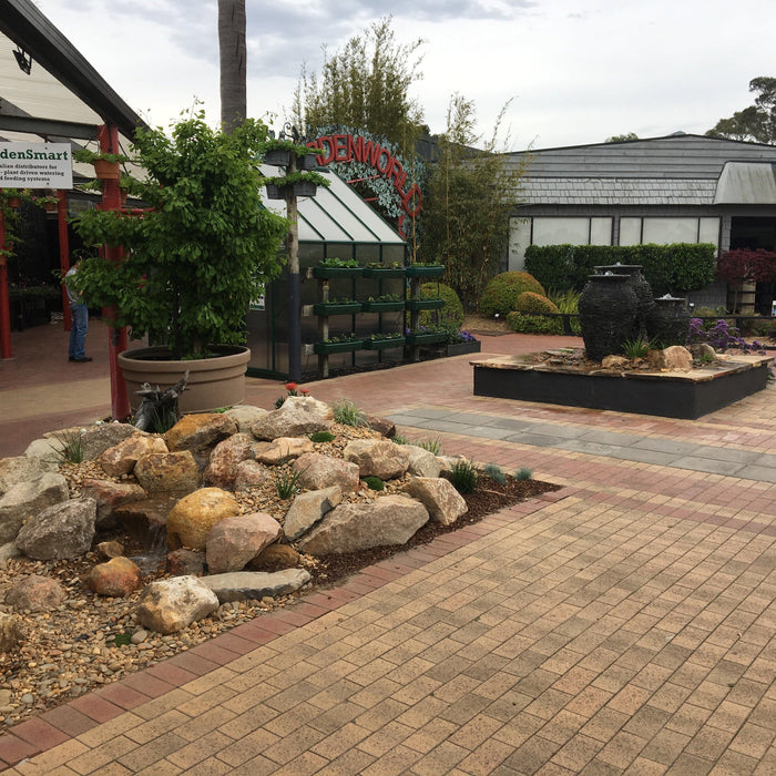 New Displays at Lotus Watergardens - Aquascape Australia