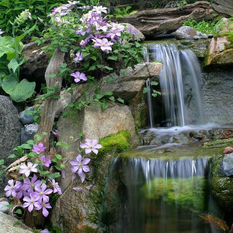 Waterfalls: The Perfect Abode for Moss - Aquascape Australia