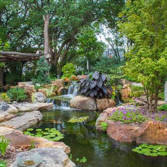 Amazing Suburban Backyard Transformed with Water Features - Aquascape Australia