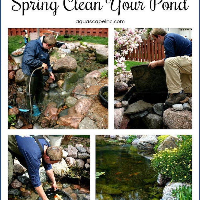 Successfully Clean Your Pond For Spring - Aquascape Australia
