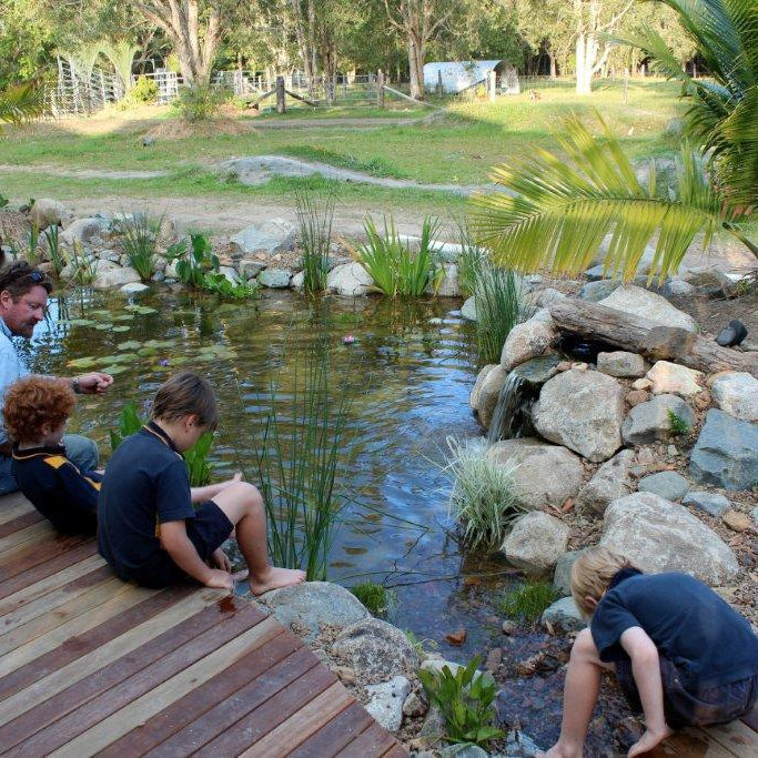 Beautiful Ponds & Waterfalls for Backyard Living - Aquascape Australia