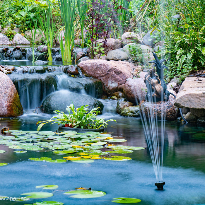 2023 Pond Renovation Ideas - Aquascape Australia
