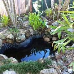 Amazing New Turtle Pond - Aquascape Australia