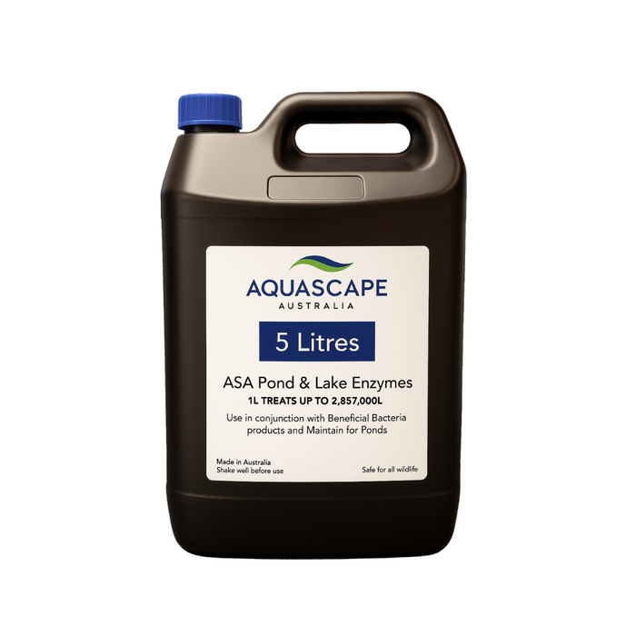 ASA Pond & Lake Enzyme