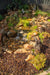 Small Pondless Waterfall Kit - 2m stream - Aquascape Australia