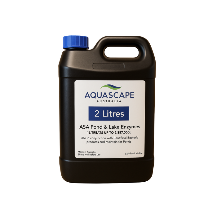 ASA Pond & Lake Enzyme