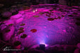 11-Watt Colour-Changing Wide-Angle Light - Aquascape Australia