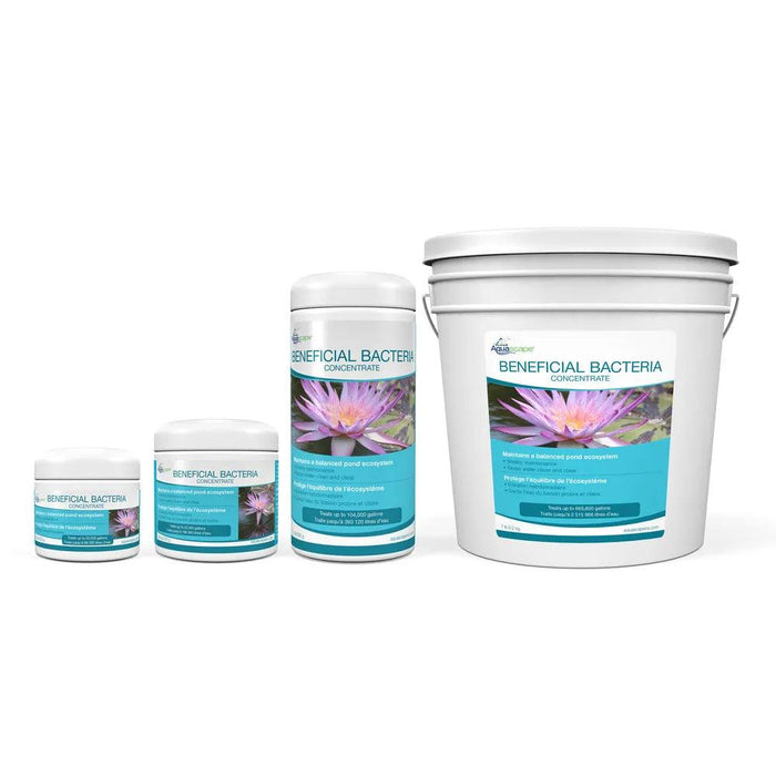 Beneficial Bacteria Concentrate - Aquascape Australia