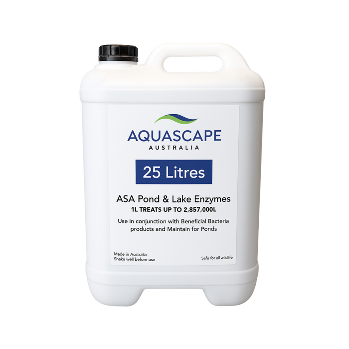 ASA Pond & Lake Enzyme