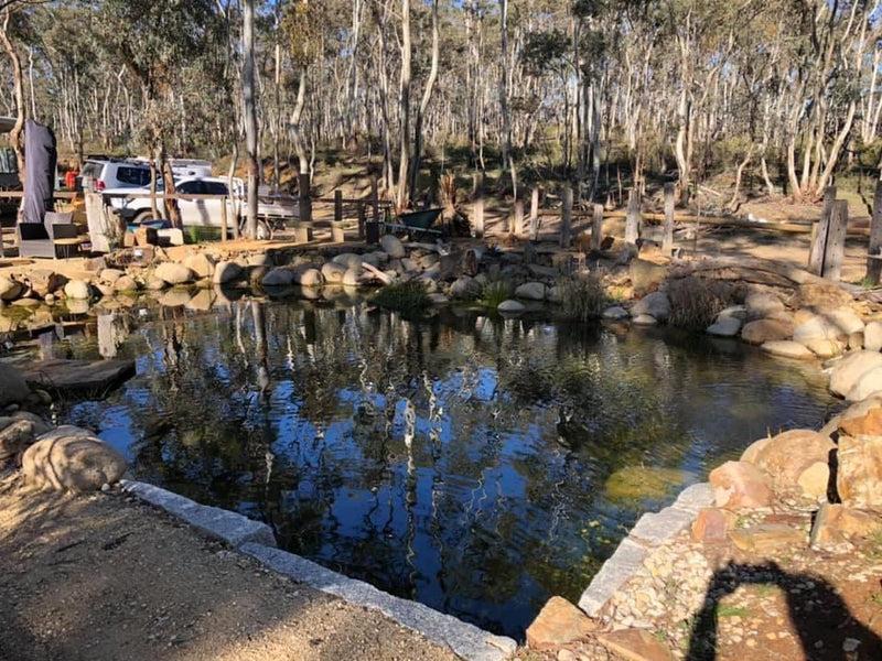 Abbey Road Landscaping's Recreational Pond project in 