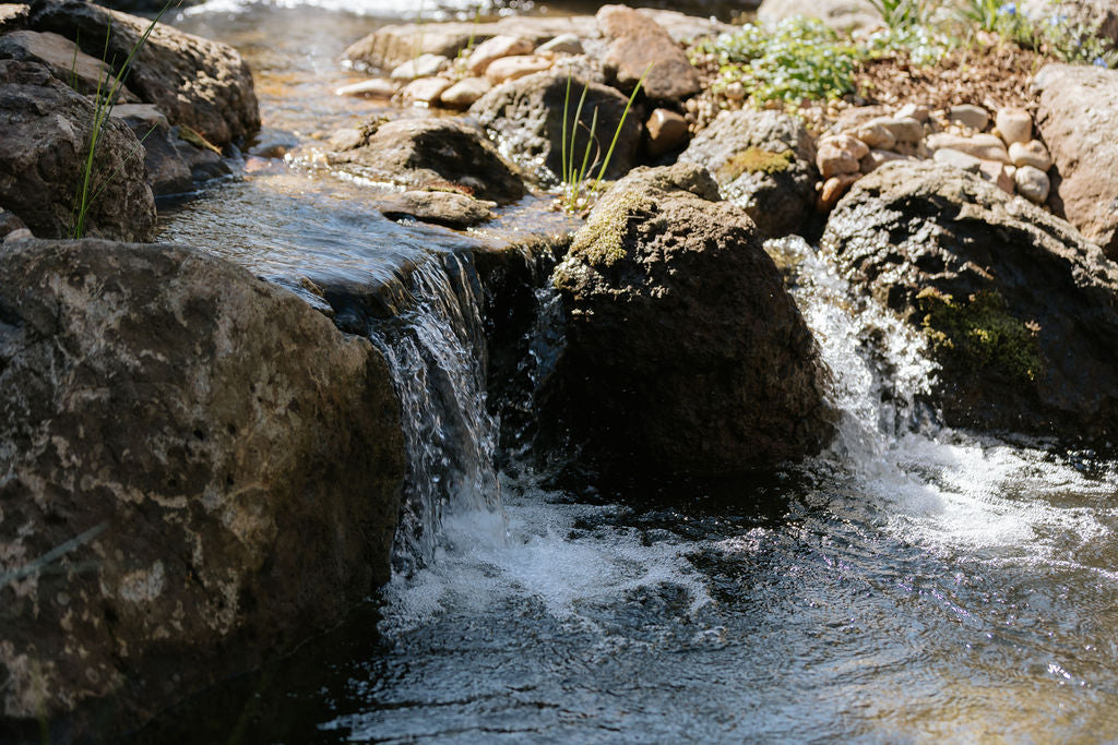 Pond & Waterfall Kits