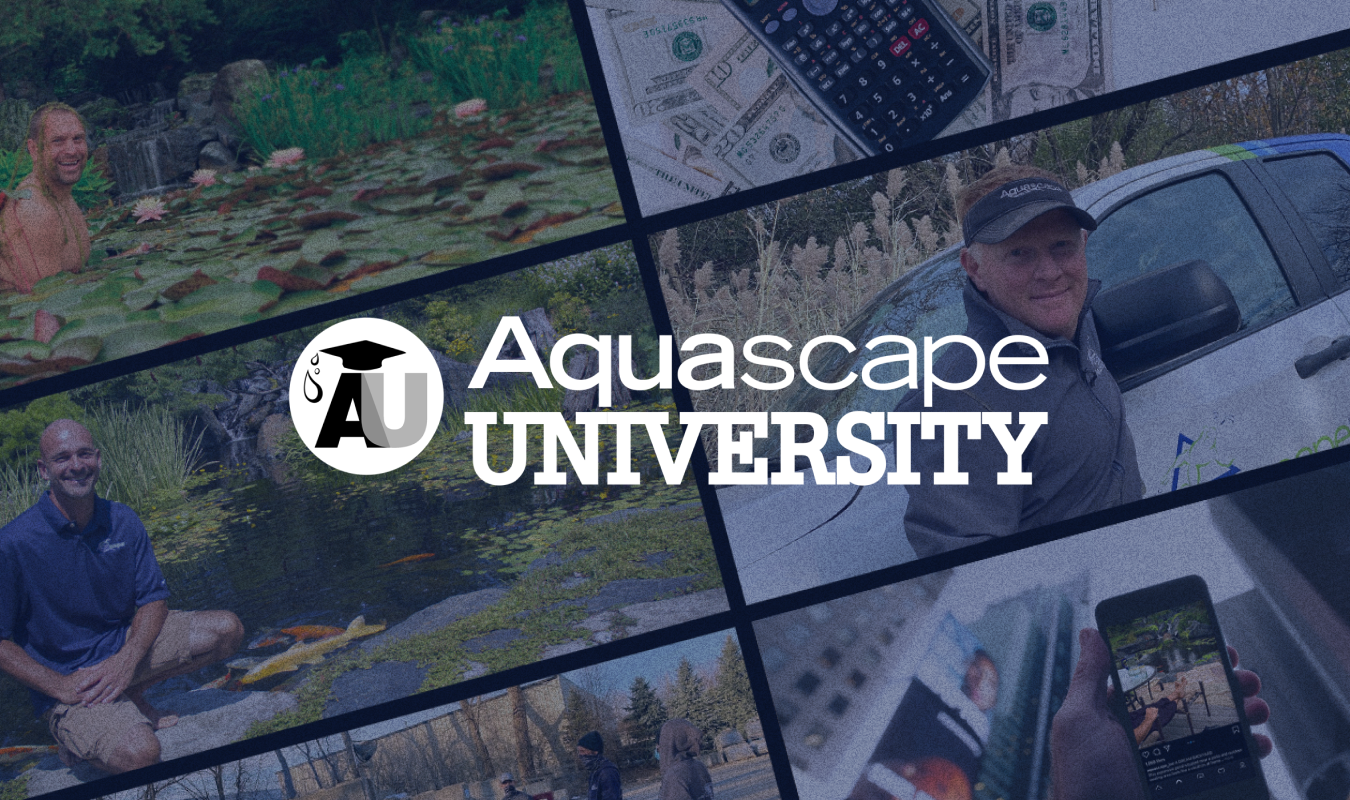 Elevate Skills: Aquascape Certification Online