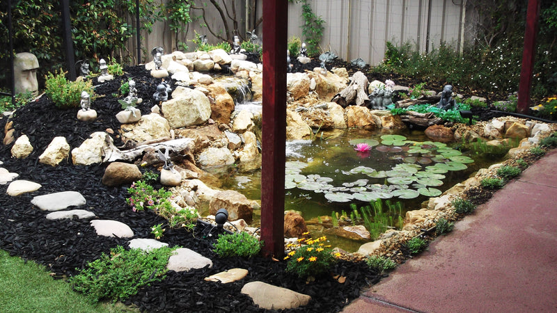Keith M.'s Pond project in 
