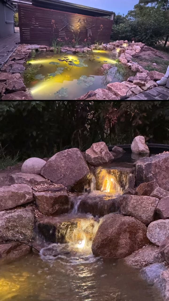 Terry & Elena S.'s Pond project in 