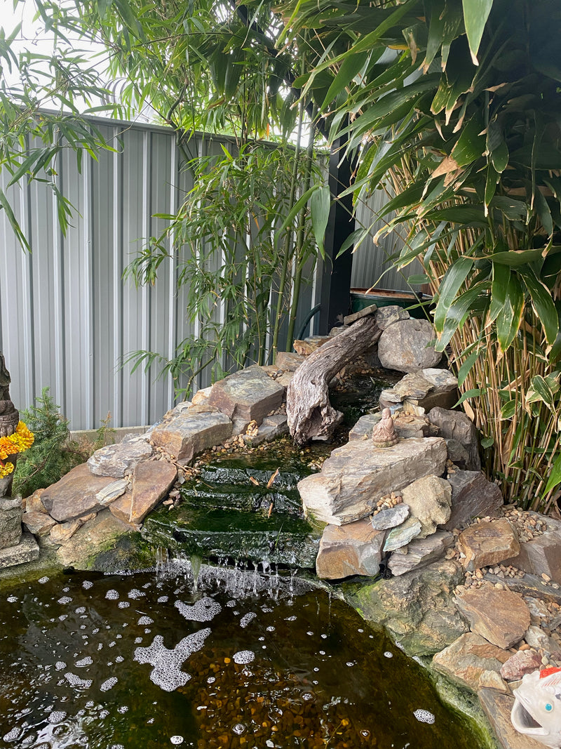Travis H.'s Pond project in 