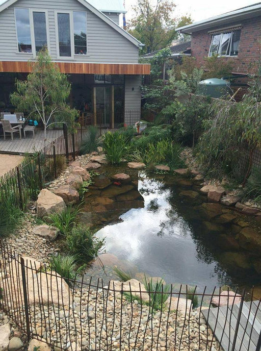 Recreation Pond Kit - 7m x 5m - 25% Wetland - Aquascape Australia